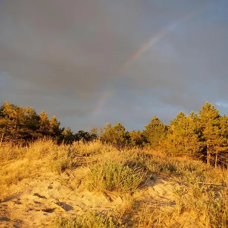 Interferie Su Argentyt Θέρετρο
