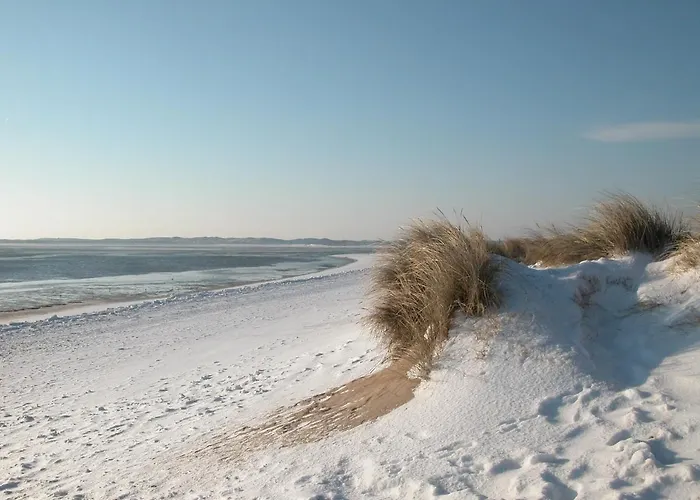 Interferie Su Argentyt 2* Dąbki