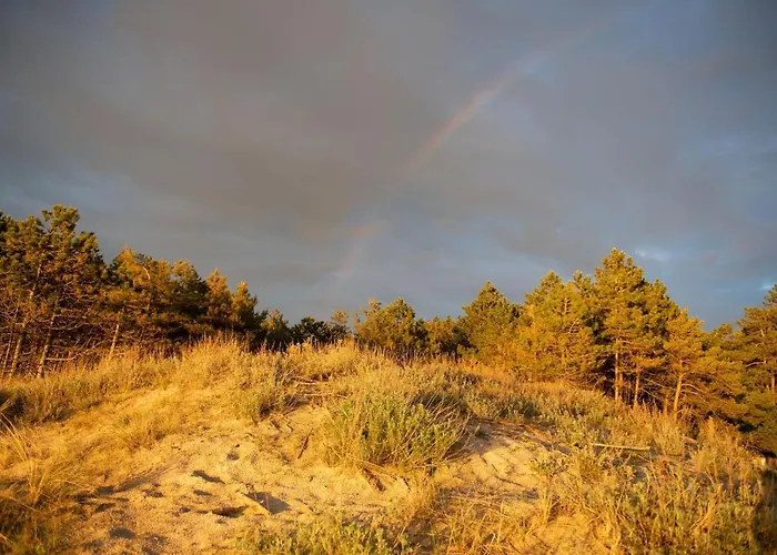 Interferie Su Argentyt Resort